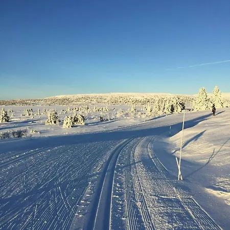 Idyllic Log At Nordseter Lillehammer