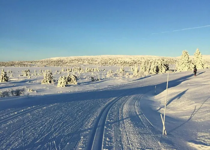 Idyllic Log At Nordseter Lillehammer